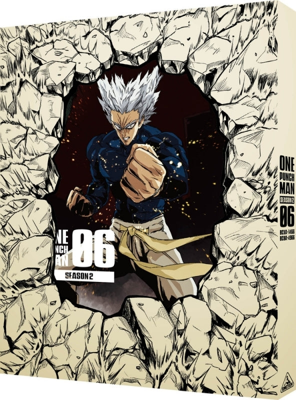 (DVD) One Punch Man TV Series SEASON 26 [Deluxe Limited Edition]