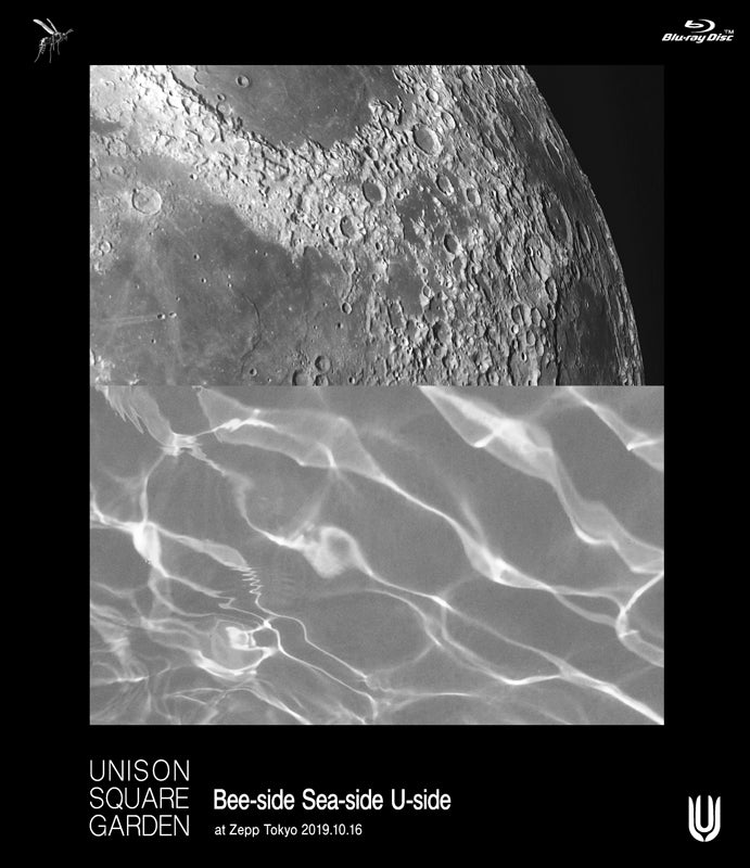 (Blu-ray) UNISON SQUARE GARDEN: Bee-side Sea-side U-side at Zepp Tokyo 2019.10.16 Animate International
