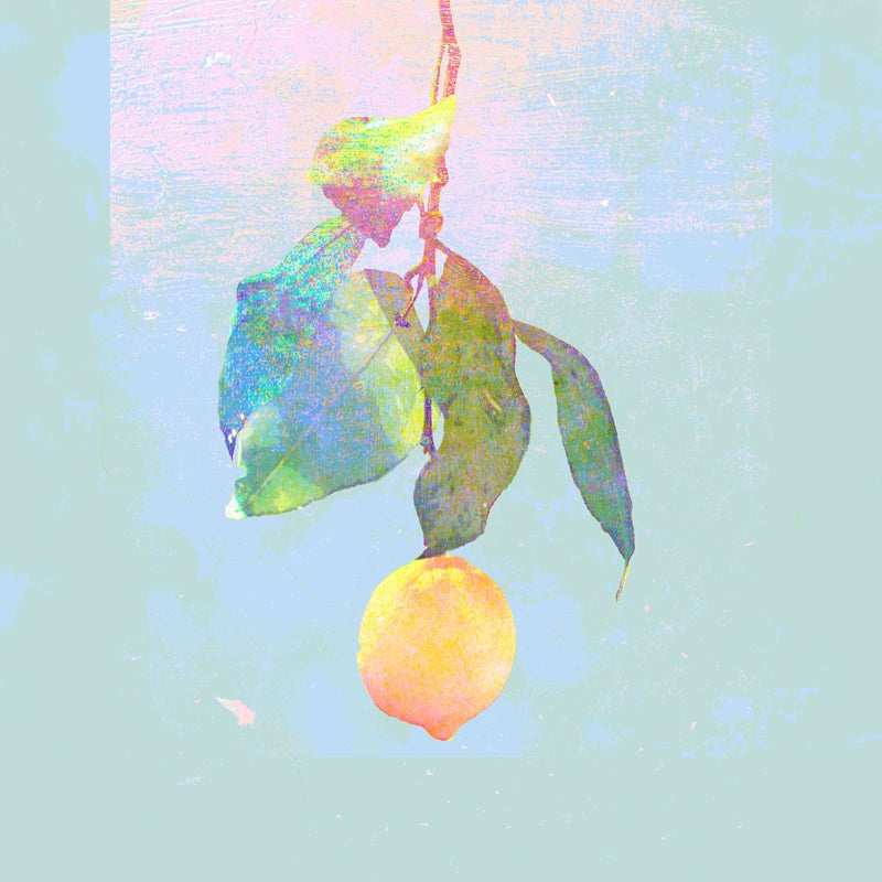 (Maxi Single) Kenshi Yonezu / Lemon [Regular Edition] Animate International