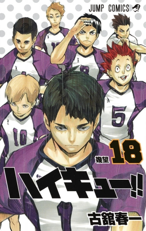 (Comic) Haikyu!! Vol. 1–45 [45 Book Set] Animate International