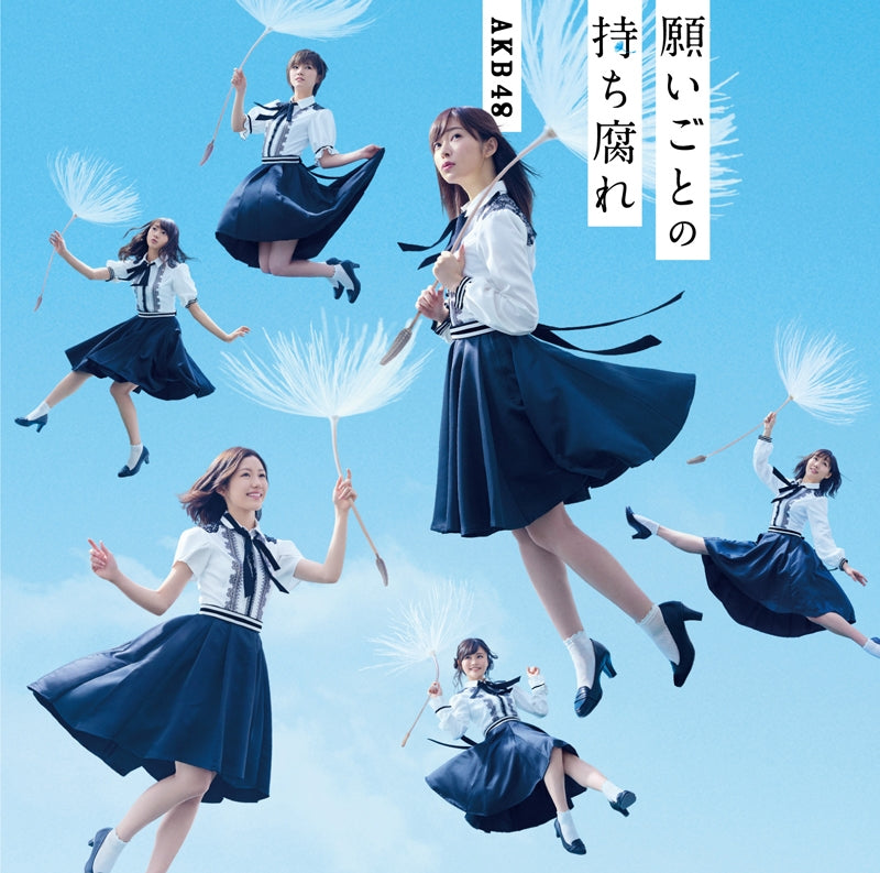 (Maxi Single) AKB48 / Negaigoto no Mochigusare [Type C] [Regular Edition] [CD+DVD] Animate International