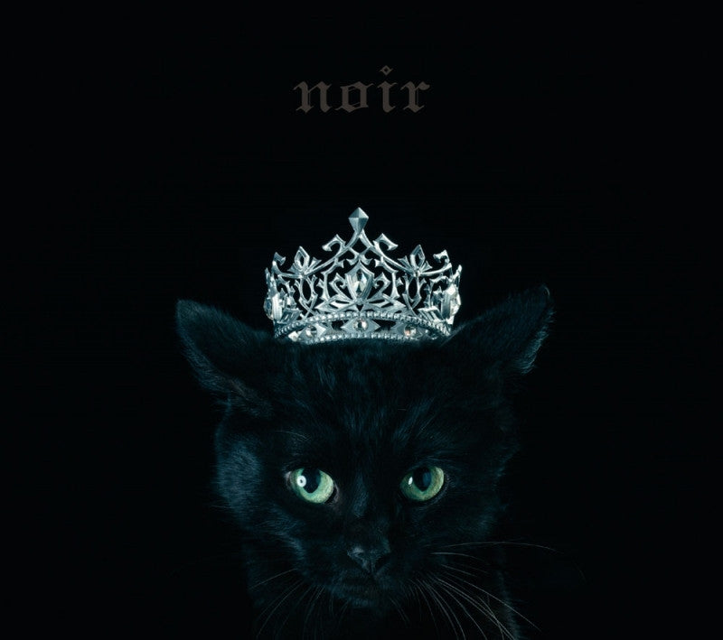 (Album) BEST SELECTION "noir" by Aimer [w/ DVD, Limited Edition / Type B] Animate International