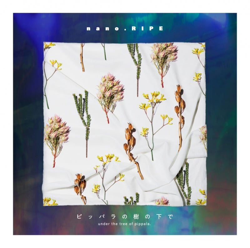 (Album) Pippara no Ki no Shita de by nano.RIPE [First Run Limited Edition] Animate International