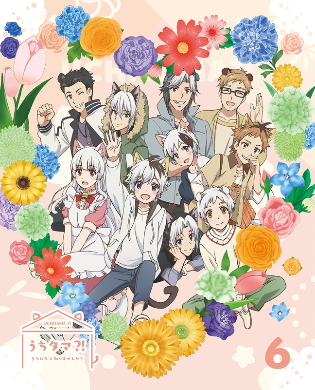 (DVD) Uchitama?!: Have you seen my Tama? TV Series Vol. 6 [Complete Production Run Limited Edition] Animate International