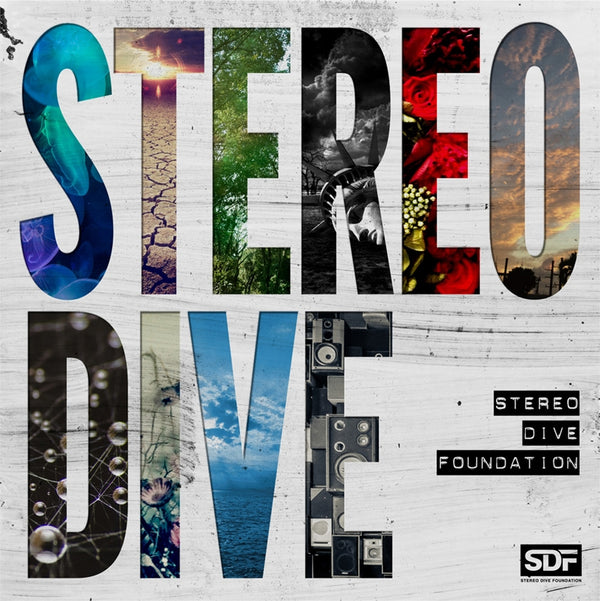 (Album) STEREO DIVE by STEREO DIVE FOUNDATION Animate International