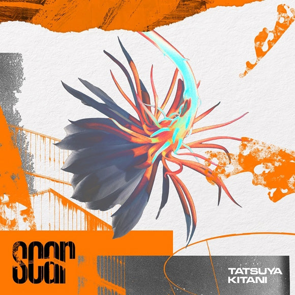 (Theme Song) BLEACH Thousand-Year Blood War TV Series OP: Scar by Tatsuya Kitani [Regular Edition]