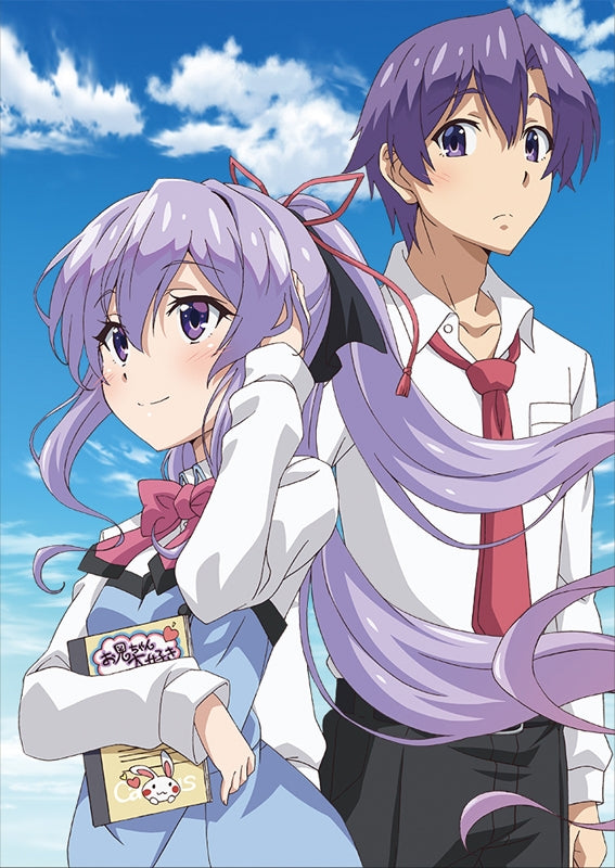 (Blu-ray) My Sister, My Writer (Ore ga Suki nano wa Imouto dakedo Imouto ja Nai) TV Series Vol. 4 Animate International