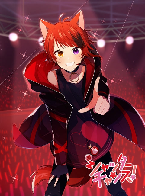 (Album) Shutter Chance! by Rinu [First Run Limited Edition w/ DVD] Animate International