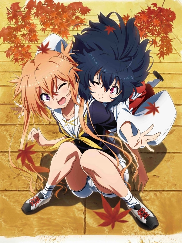 (Blu-ray) ISLAND TV Series Vol. 2 (TBA) Animate International