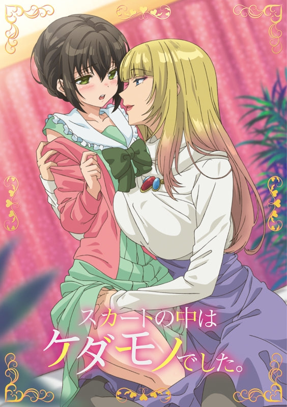 (DVD) Skirt no Naka wa Kedamono Deshita. TV Broadcast Version Animate International
