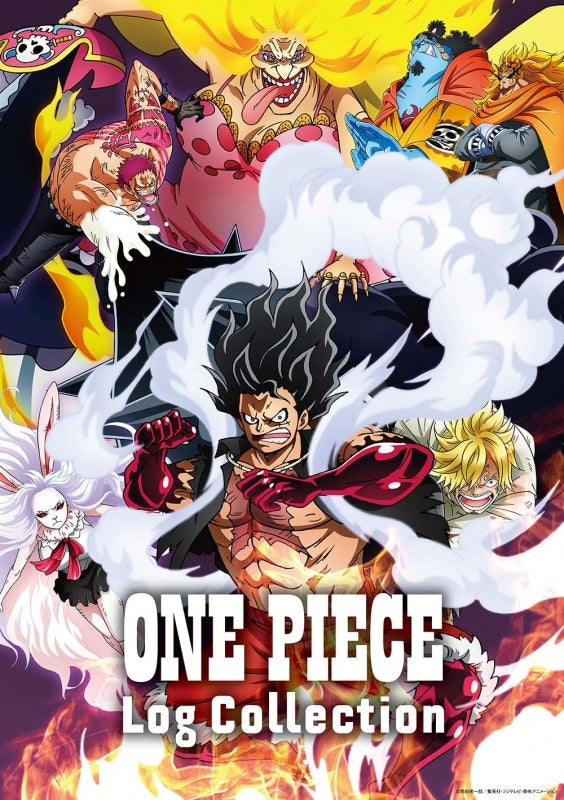 (DVD) ONE PIECE TV Series Log Collection “LEVELY”