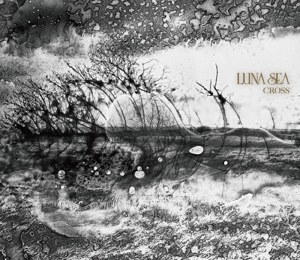 (Album) CROSS by LUNA SEA [First Run Limited Edition B] Animate International