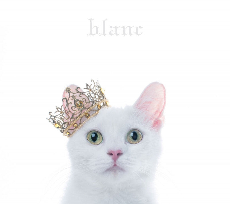 (Album) BEST SELECTION "blanc" by Aimer [w/ DVD, Limited Edition / Type B] Animate International