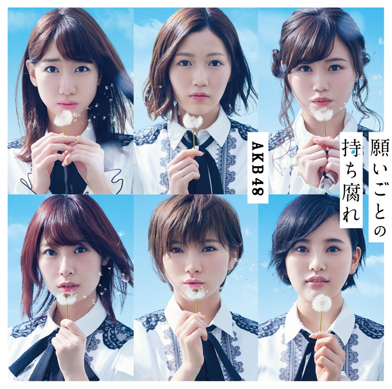 (Maxi Single) AKB48 / Negaigoto no Mochigusare [Type C] [Limited Edition] [CD+DVD] Animate International