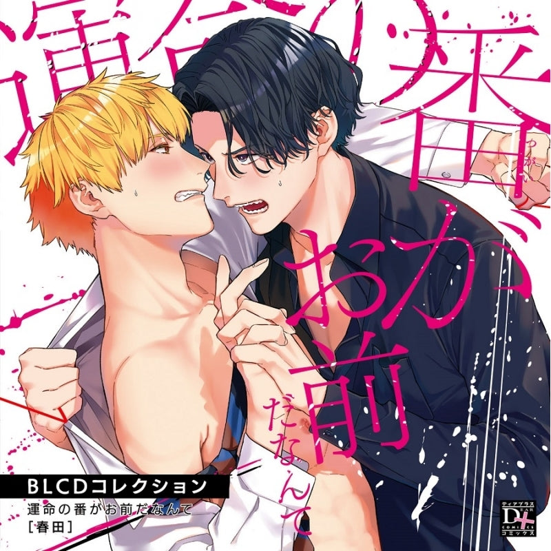 (Drama CD) BLCD Collection: I Can't Believe You're My Soulmate! (Unmei no Tsugai ga Omae da Nante) - Animate International