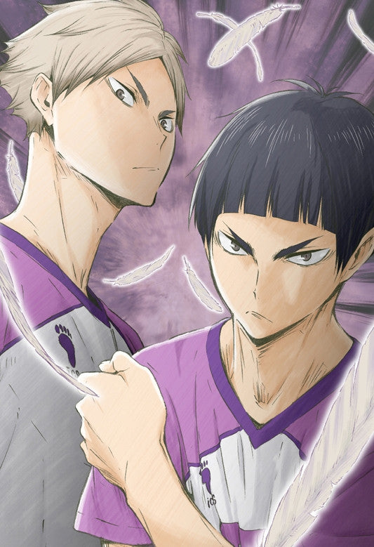 (DVD) Haikyu!! Karasuno High School vs Shiratorizawa Academy TV Series Vol. 4 [First-run Limited Edition] Animate International