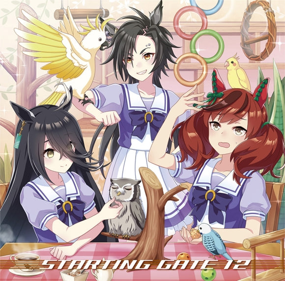(Character Song) Uma Musume Pretty Derby: Starting Gate 12 Animate International