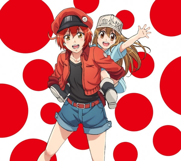 (Theme Song) Cells at Work! TV Series ED: CheerS by ClariS [Production Run Limited Edition] Animate International