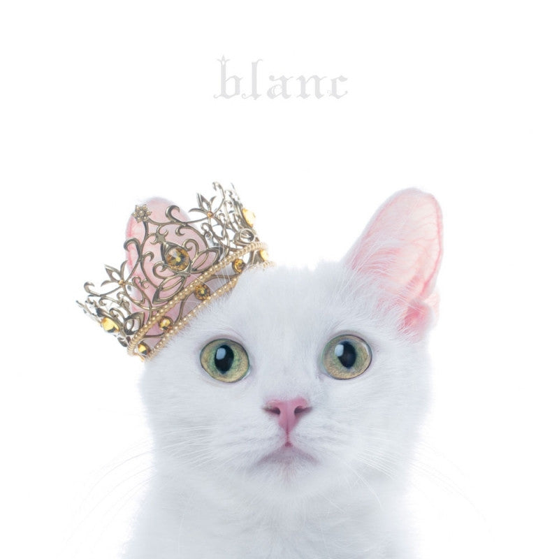 (Album) BEST SELECTION "blanc" by Aimer [Regular Edition] Animate International