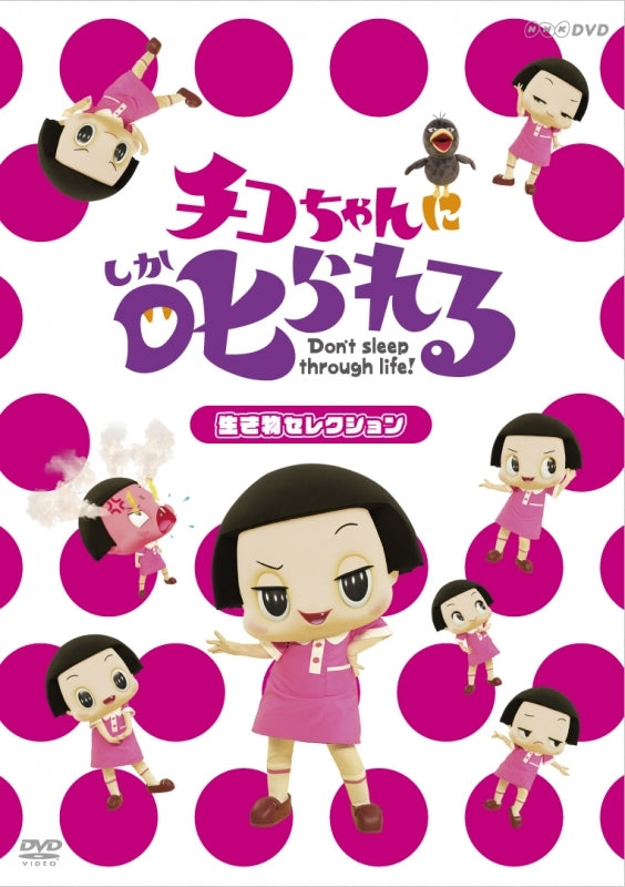 (DVD) Chiko-chan ni Shikarareru! TV Series - Ikimono Selection [Regular Edition] Animate International