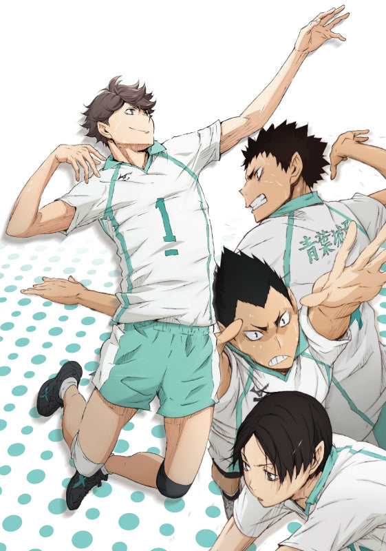 (Blu-ray) Haikyu!! TV Series Vol. 8