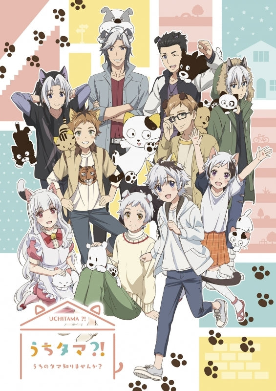 (DVD) Uchitama?!: Have you seen my Tama? TV Series Vol. 4 [Complete Production Run Limited Edition] Animate International