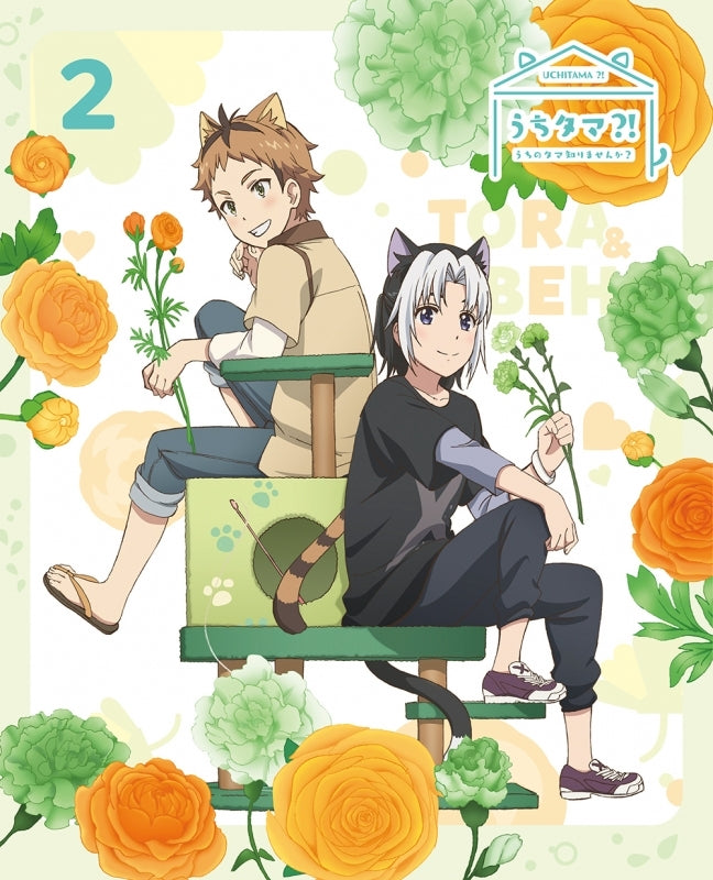 (DVD) Uchitama?!: Have you seen my Tama? TV Series Vol. 2 [Complete Production Run Limited Edition] Animate International