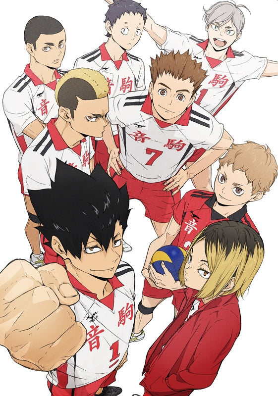 (DVD) Haikyu!! TV Series TO THE TOP Vol. 5 [First Run Limited Edition] - Animate International