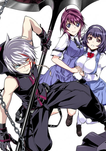 animate】(Blu-ray) The Qwaser of Stigmata Director's Cut Edition
