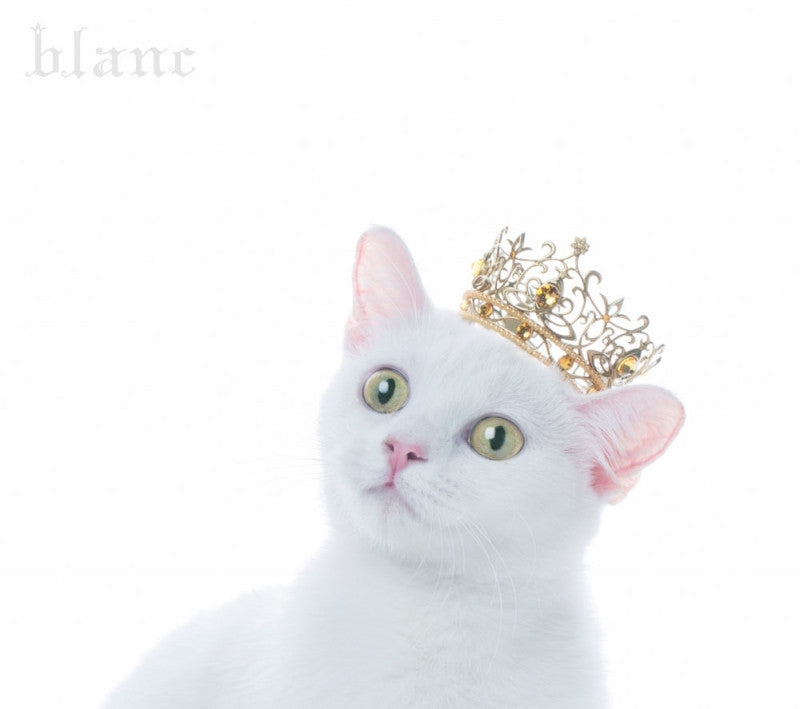 (Album) BEST SELECTION "blanc" by Aimer [w/ Blu-ray， Limited Edition / Type A] Animate International
