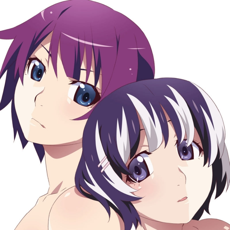 (Soundtrack) Monogatari TV Series Second Season Original Soundtracks Animate International