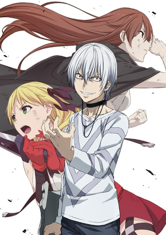 (DVD) A Certain Scientific Accelerator TV Series Vol. 2 [First Run Limited Edition] Animate International