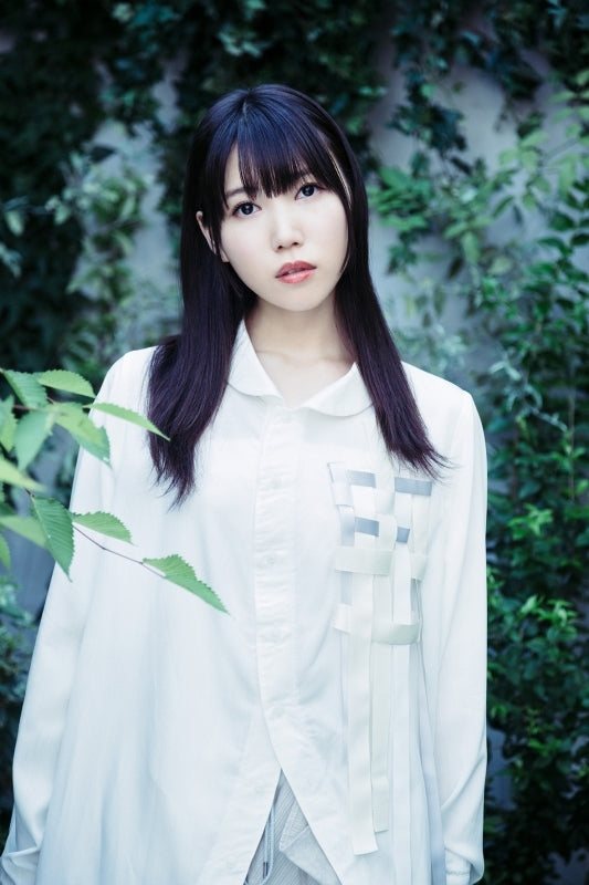 (Theme Song) Net-juu no Susume TV Series ED: Hikari, Hikari by Yuuka Aisaka [First Run Limited Edition] Animate International