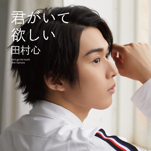(Maxi Single) Kimi ga Ite Hoshii by Shin Tamura [Regular Edition] Animate International